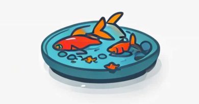 New Fishpond In Marathi