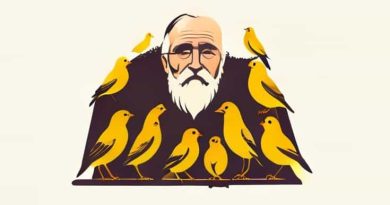 Old Man With 7 Yellow Canaries