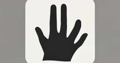 Pourquoi Jamel Cache Sa Main