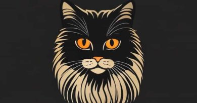 Price Of Persian Cat