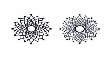 Relationship Between Mandelbrot And Julia Sets