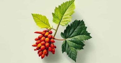 Saskatoon John G Diefenbaker International