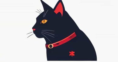 Second Officer Cathay Pacific