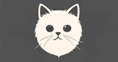 Short Hair Persian Cat