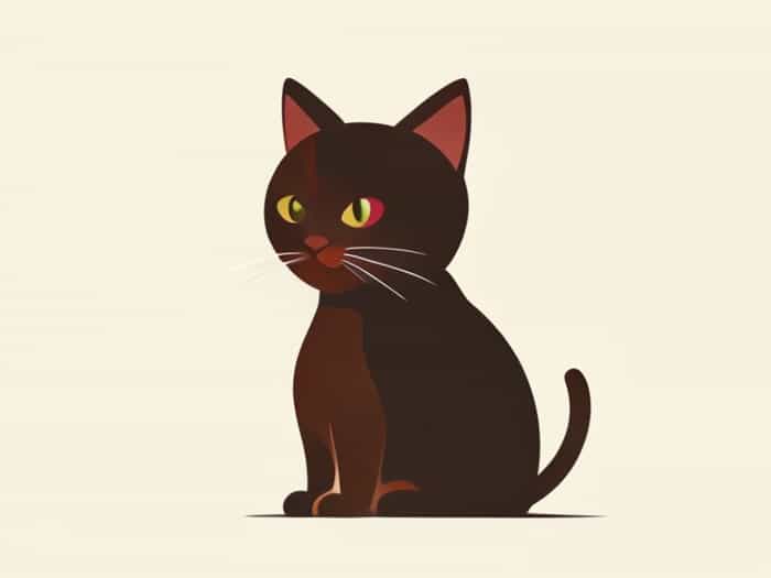 Short Haired Tortoiseshell Cat