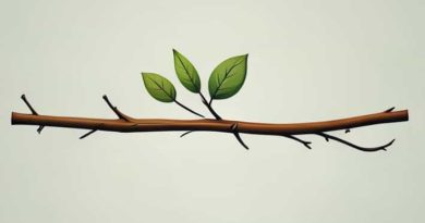 Shot Across The Bough Or Bow