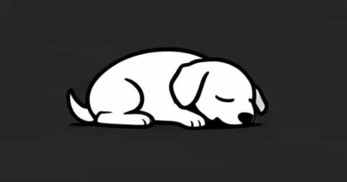 Sleeping Dogs Definitive Edition