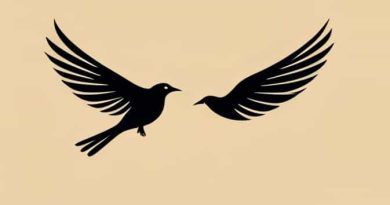 The Birds Of Rhiannon