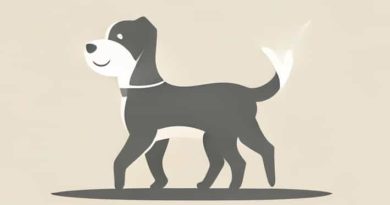 The Dog Wagged Its Tail Adjective