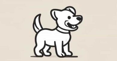 The Dog Wagged Its Tail Excitedly