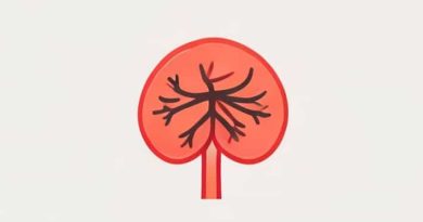 The Parathyroid Gland Secretes The Hormone