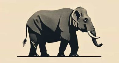 The Ponderous Pachyderm Of The Planks