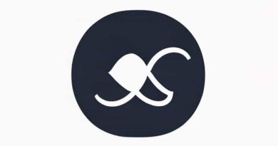 The Two Kinds Of Monism Are