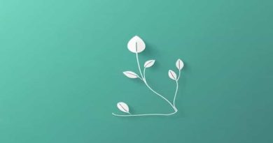 The Windlass Lake Hopatcong New Jersey