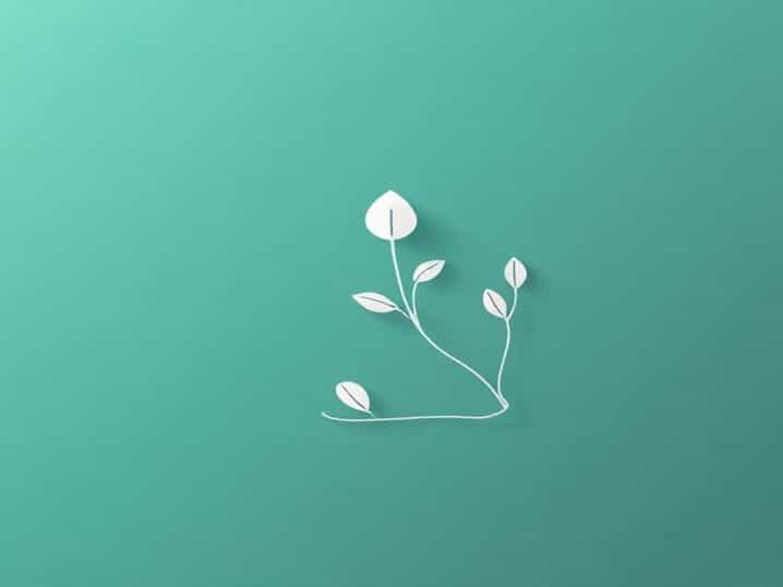 The Windlass Lake Hopatcong New Jersey