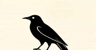 The Yale Brown Obsessive Compulsive Scale