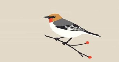 They Received The Word With Gladness