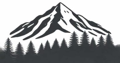 To Ensure Meaning In Hindi