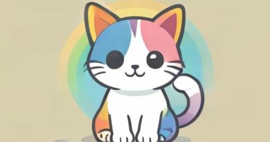 Tour Rainbow Kitten Surprise