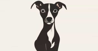 Ugly Mexican Hairless Dog