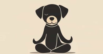What Is Puppy Yoga