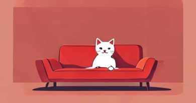 Yvr Cathay Pacific Lounge