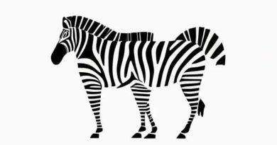 Zebra Species And Subspecies