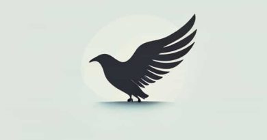 Zelinsky'S Migration Transition Model