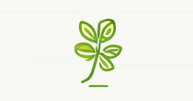 Zest Limerick Opening Hours