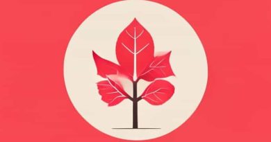 Zillow Red Bud Il