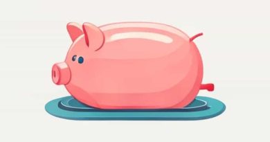 Zoeller Piggyback Float Switch