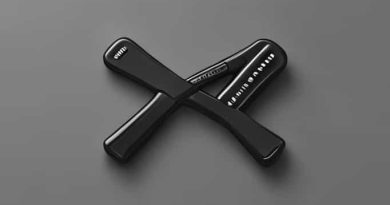 Zoom G1x Four Whammy