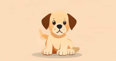 Zoom Room Puppy Socialization