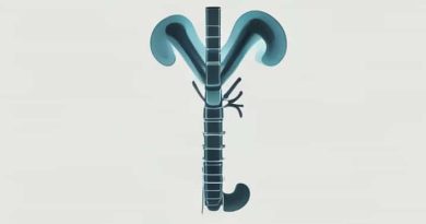 An X Ray Of The Ureter Is Called