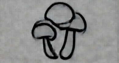 Are Puffball Mushrooms Poisonous