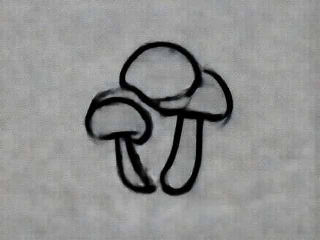 Are Puffball Mushrooms Poisonous