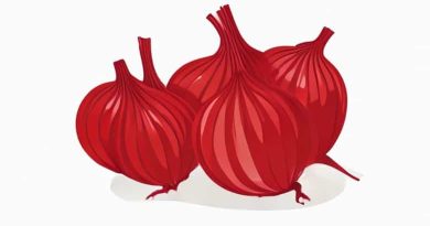 Are Red Onions Good For Sauteing