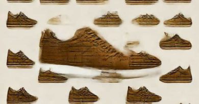 Brick Bronze Repeatable Trainers