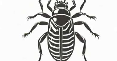 Bugmd Essential Pest Concentrate