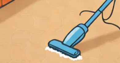 Carpet Cleaner Solution Astonish