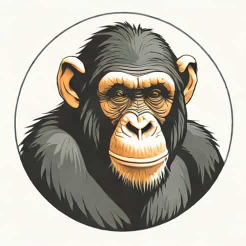 Chimpanzee Lifespan In Captivity