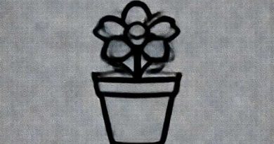 China Crisis The Flowerpot 22 Nov