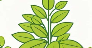 Do You Have To Inoculate Soybeans