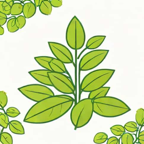 Do You Have To Inoculate Soybeans