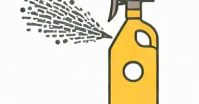Does Disinfectant Spray Kill Mold