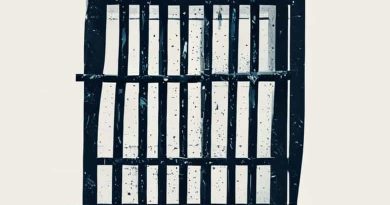 Does Haywire Die In Prison Break