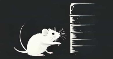 Faster Than A Rat Up A Drainpipe