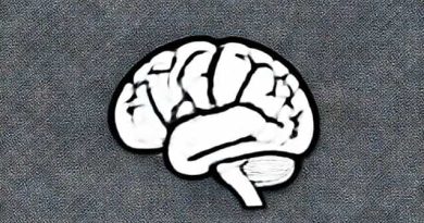 Fat Brain Dimpl Billow And Bright