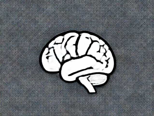 Fat Brain Dimpl Billow And Bright