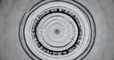 Fate Of Blastomere Is Foretold In